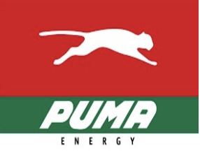 4-puma