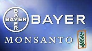 bayer